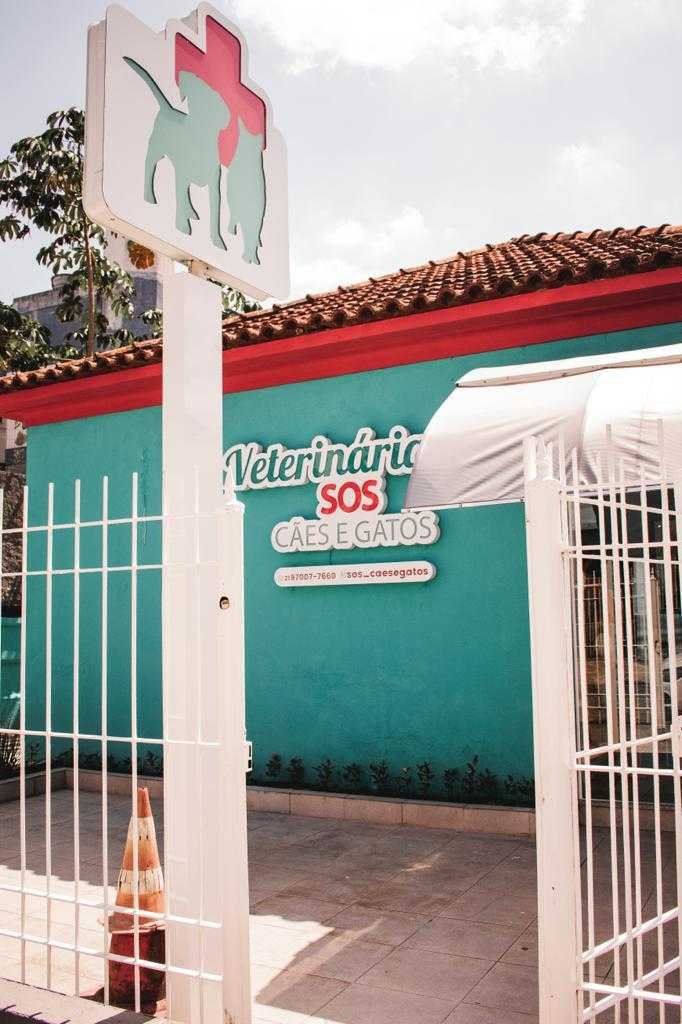 Galeria