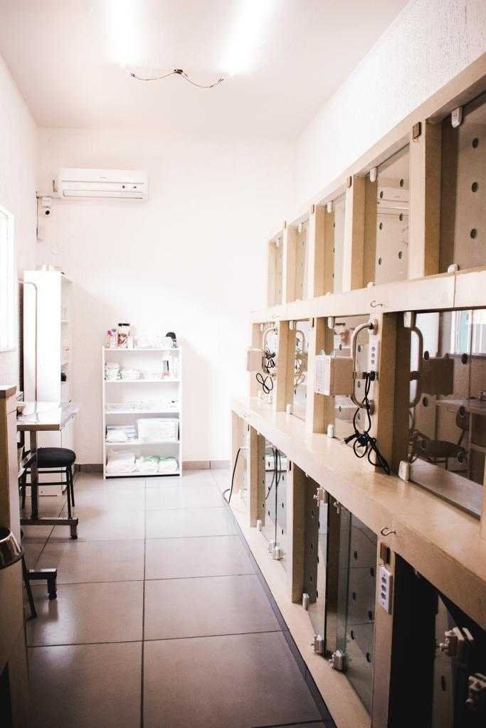 Galeria