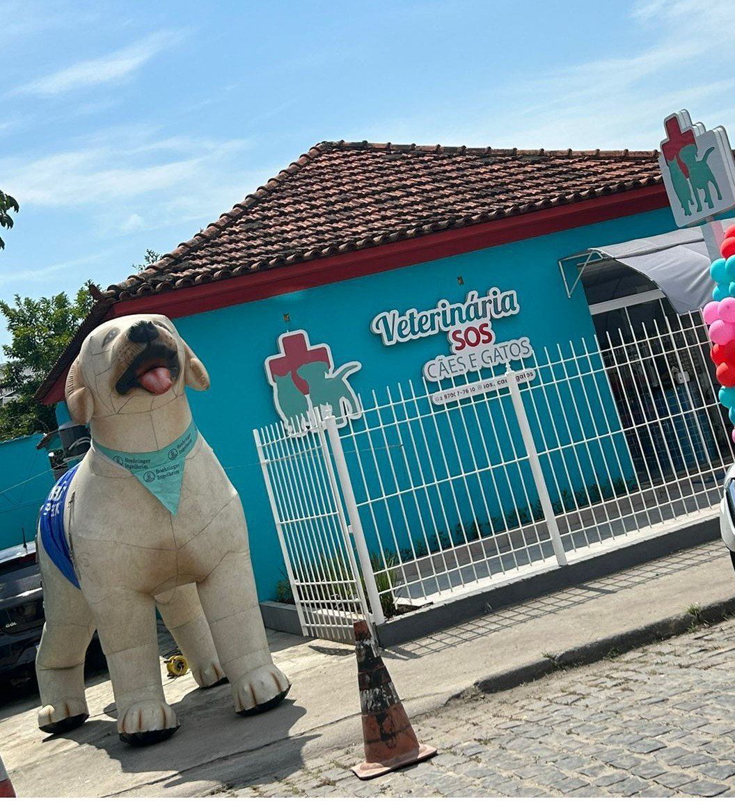 SOS Cães e Gatos | Itaboraí